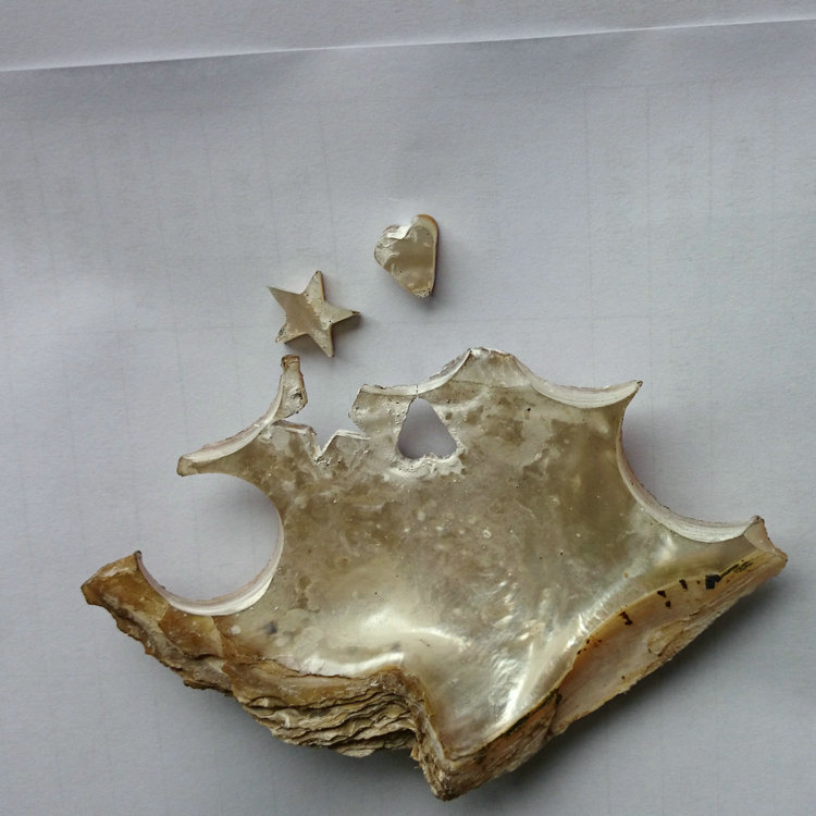 砂線切割機切割的貝殼五角星和心形形狀