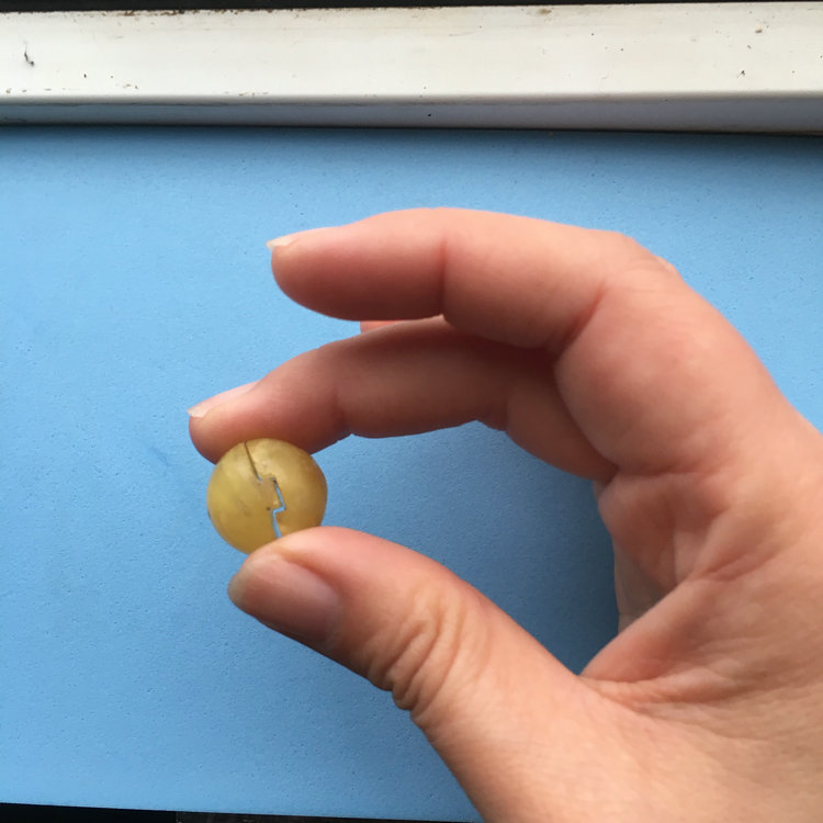 晨虹數(shù)控砂線切割機切割的蜜蠟珠子
